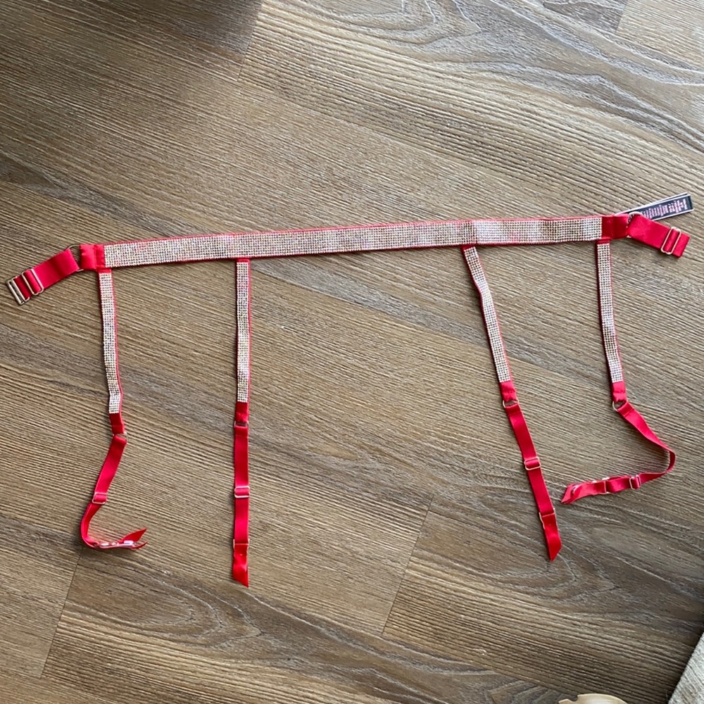 Victoria’s Secret Garter🦋